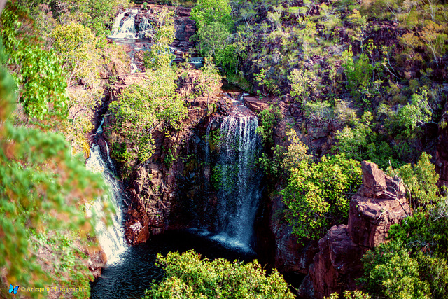 Karrimurra - Florence Falls