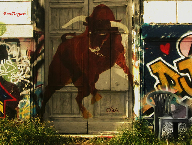 Street Art 2-: The  Raging  Bull