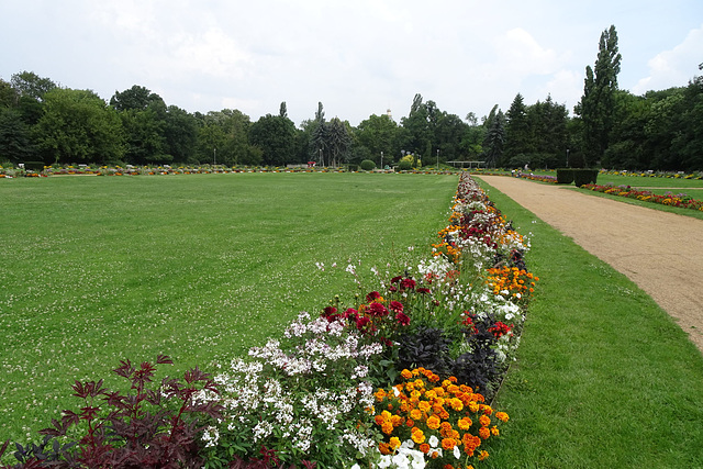 Margaret Island Rose Garden