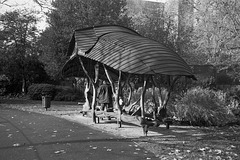 Rain shelter, Archbishops Park.