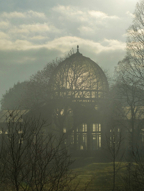 The Great Conservatory (2) - 31 December 2014