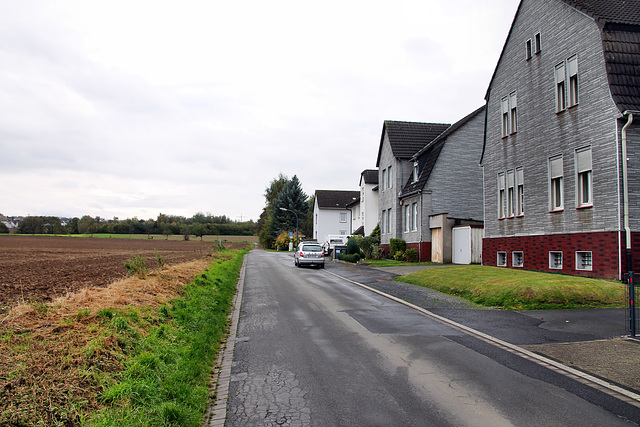 Steinstraße (Holzwickede) / 21.10.2017