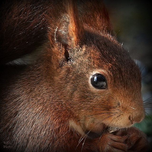 Regard du jour..27/03/2019 11:47:41