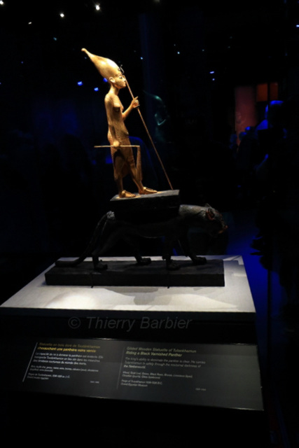 Toutankhamon 032