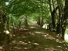 20210822 -0906 Ariège (449)