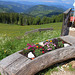 HBM an der Messnerjoch-Hütte