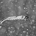 invierno