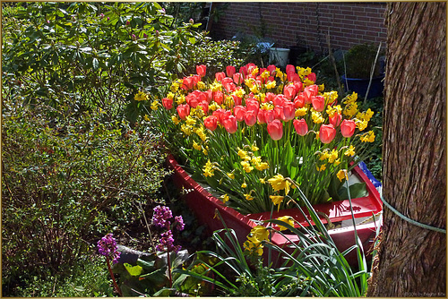 Flower Boat ☼ ☼ ☼