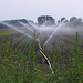 Feldbewässerung neben der Autobahn A1