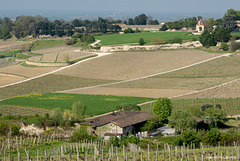 Saint-Emilion - Murs et Parcelles