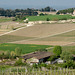 Saint-Emilion - Murs et Parcelles