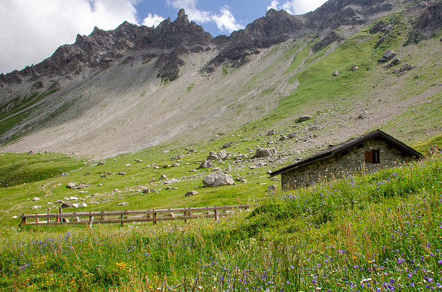 L'été en montagne