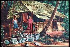The native house on Raroia