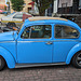 VW bleue NC 8955 (2)