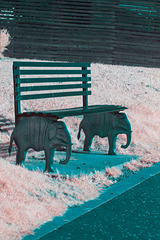 Elephant Bench- Infrared