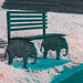 Elephant Bench- Infrared