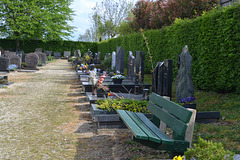 Cemetry Bench (HBM)