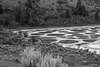 Spotted Lake