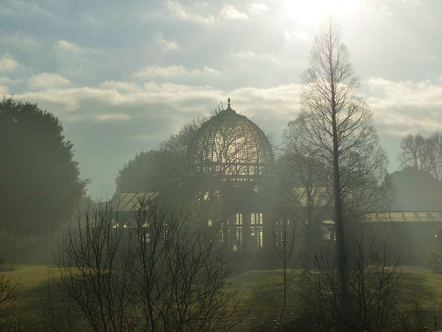 The Great Conservatory (4) - 31 December 2014
