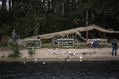 20140911 5129VRAw [NL]  Möwe, Ente, Holzskulptur, Terschelling