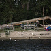 20140911 5129VRAw [NL]  Möwe, Ente, Holzskulptur, Terschelling