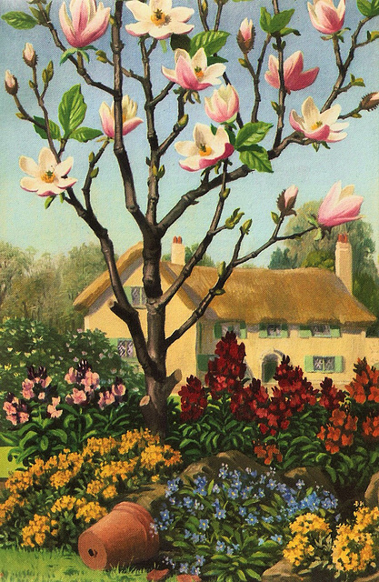 Magnolia,