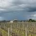 Saint-Emilion - Nous avons évité la pluie