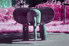 Wee Elephant - Infrared