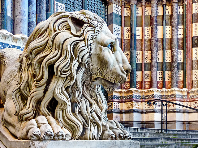 Guardiano del Duomo di San Lorenzo a Genova - HHF