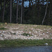 20140911 5128VRAw [NL]  Möwe. Terschelling