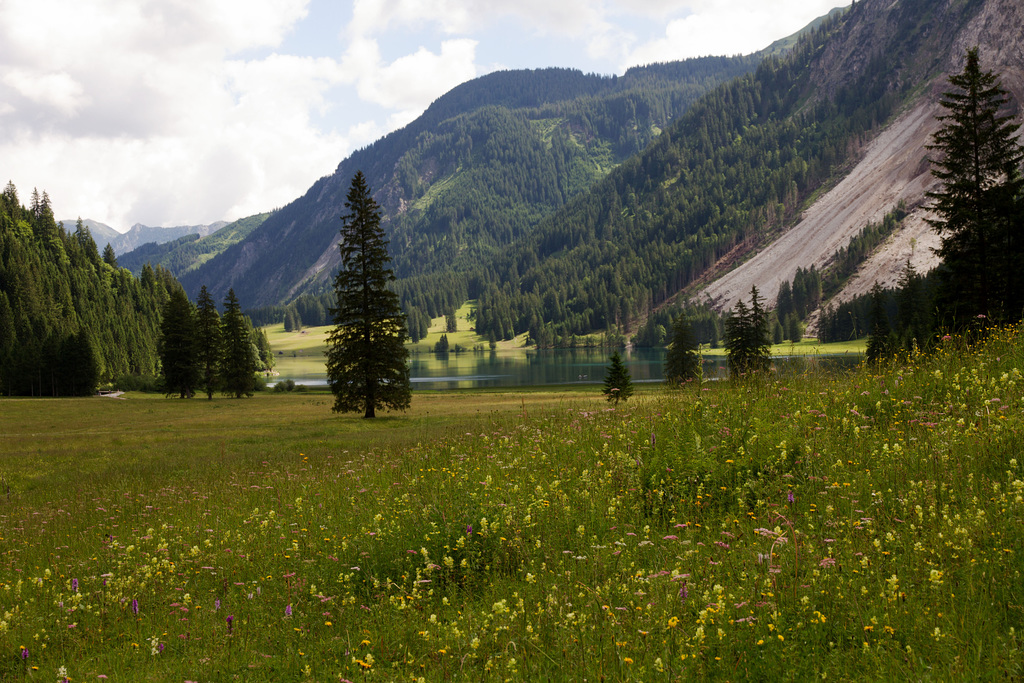 Naturschutzgebiet Vilsalpsee