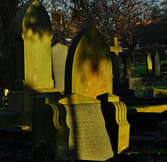 Golden light. Wallsend Cemetery