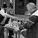 chess players in Vlora (Albania)
