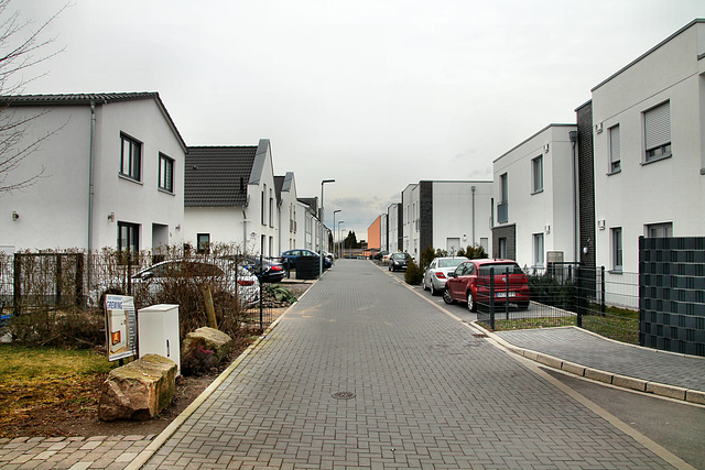 Feldahornstraße (Gelsenkirchen-Schalke) / 11.03.2018