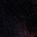 Cygnus area III (view on black)