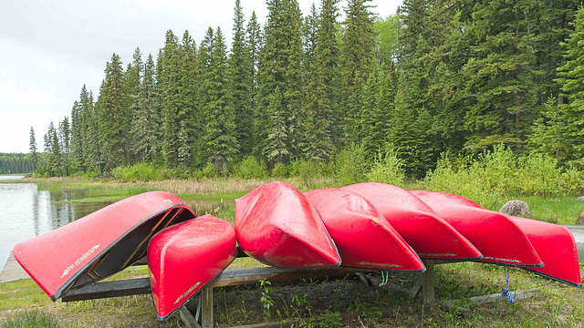 canoes and forest PANP 2