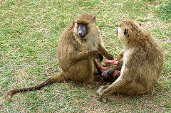 ... conversation secrète ...