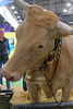 Les bovins (6)