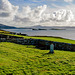 Churchyard with a View