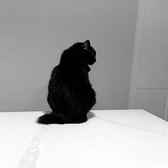 Dora B&W
