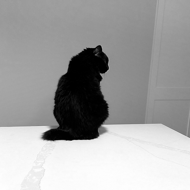 Dora B&W