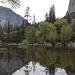 Yosemite Mirror Lake (#0580)