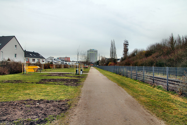 Weg neben der Werksbahn (Gelsenkirchen) / 11.03.2018