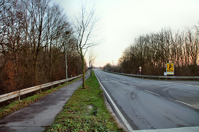 Lippramsdorfer Straße (Marl) / 12.12.2018