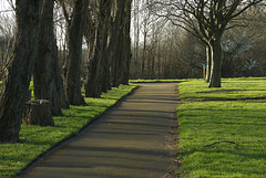 White Beams And Shadows