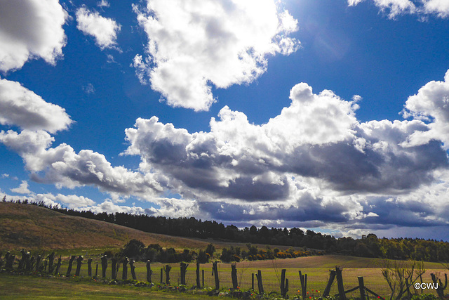 The skies are so blue without the normal pollution