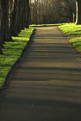 White Beams And Shadows