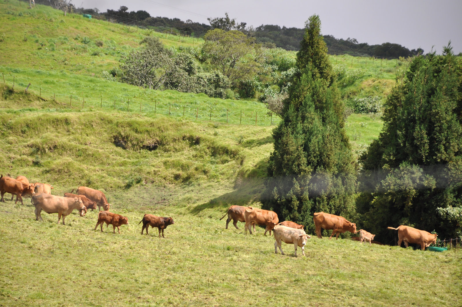 LA REUNION