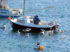 retour de pêche