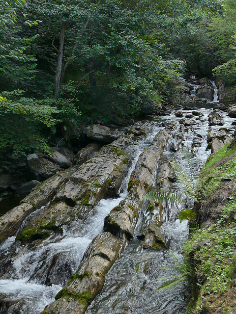 20210822 -0906 Ariège (467)